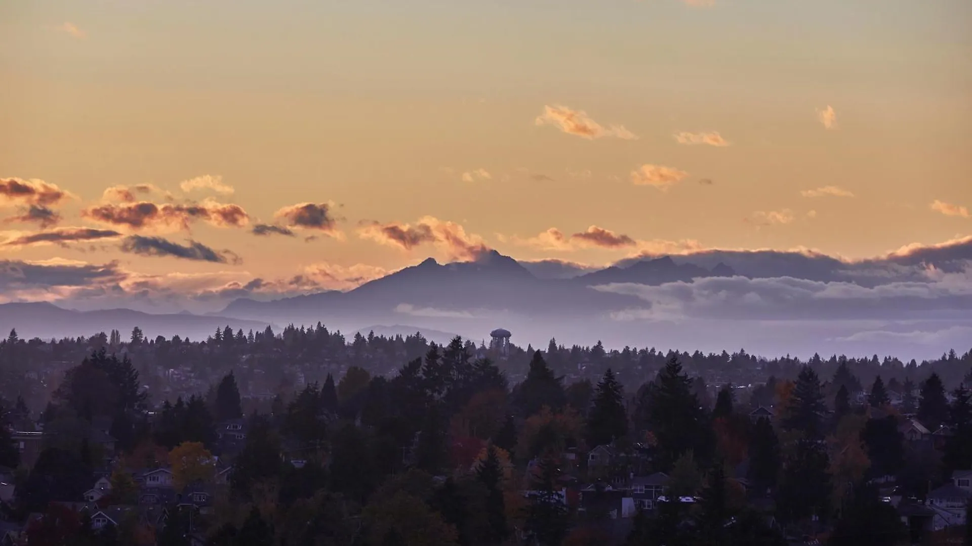 ****  Hotel Graduate By Hilton Seattle USA
