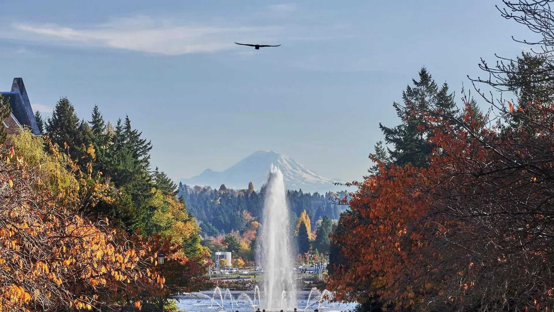 Hotel Graduate By Hilton Seattle